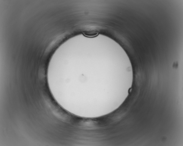 X0000115220407200911251535