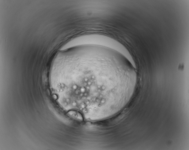 X0000115220408200911251535