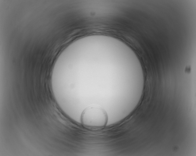 X0000115220409200911251535
