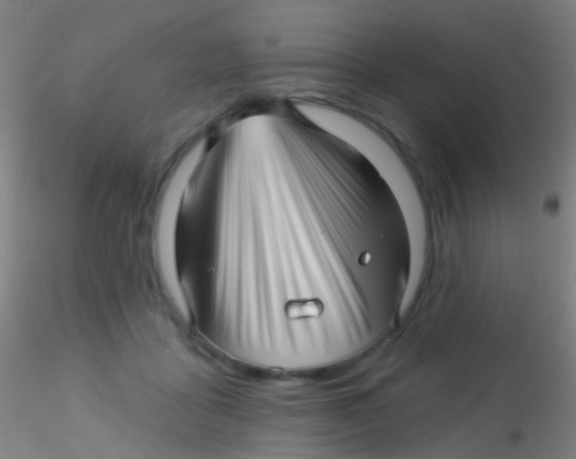 X0000115220411200911251535