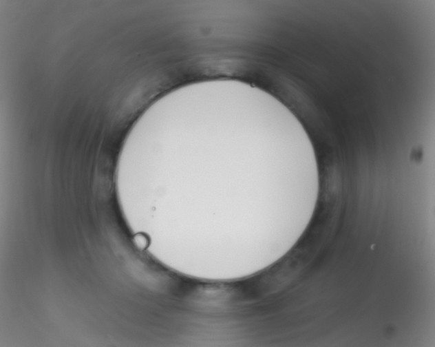 X0000115220414200911251535