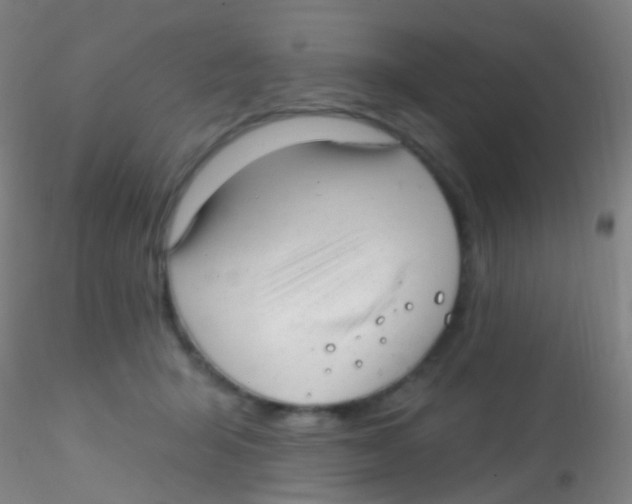X0000115220415200911251535