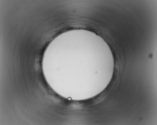 X0000115220416200911251535