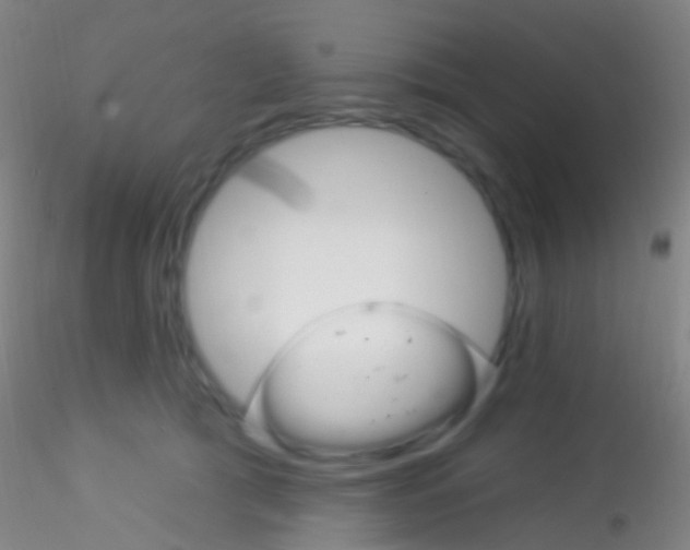 X0000115220417200911251535