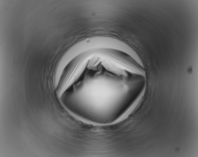 X0000115220419200911251535