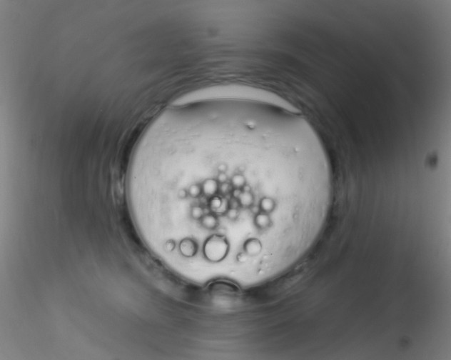 X0000115220420200911251535