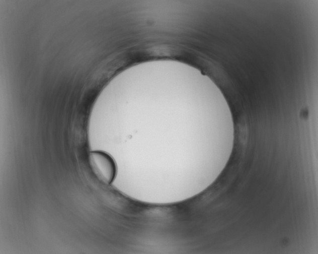 X0000115220422200911251535