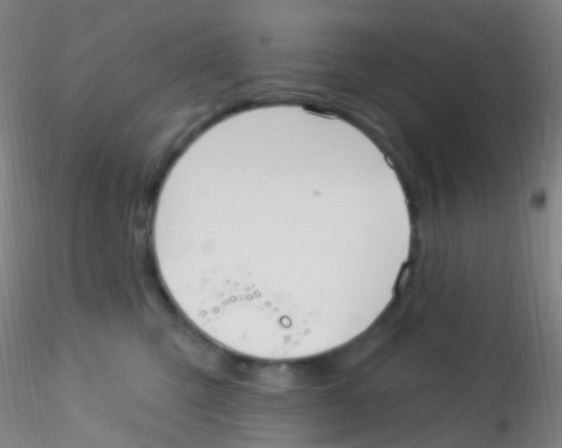 X0000115220423200911251535