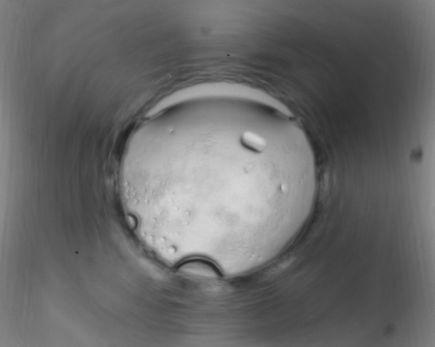 X0000115220424200911251535