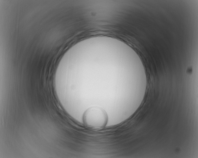 X0000115220425200911251535