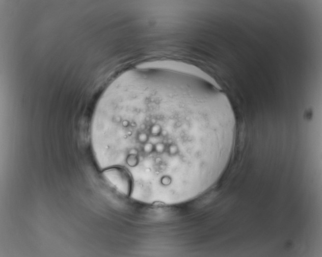 X0000115220428200911251535