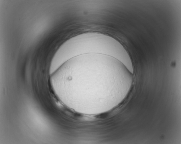 X0000115220429200911251535