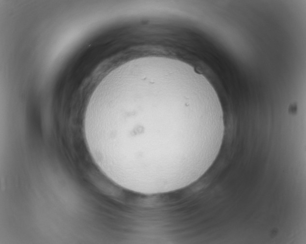 X0000115220430200911251535