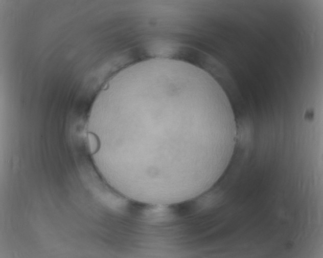 X0000115220431200911251535