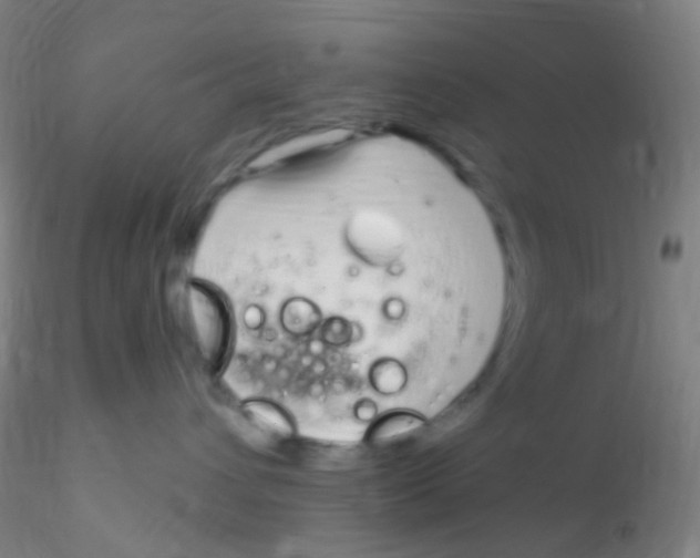 X0000115220432200911251535