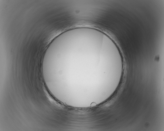X0000115220433200911251534