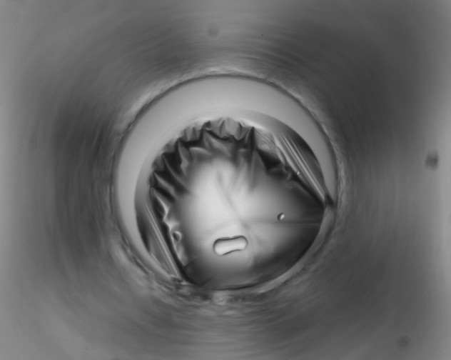 X0000115220434200911251534
