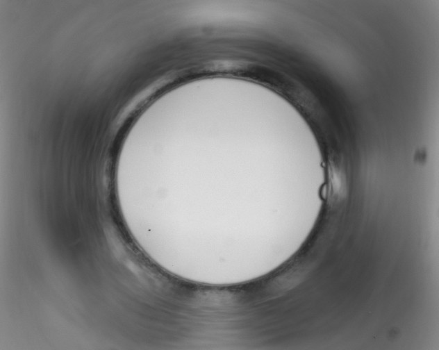 X0000115220435200911251534