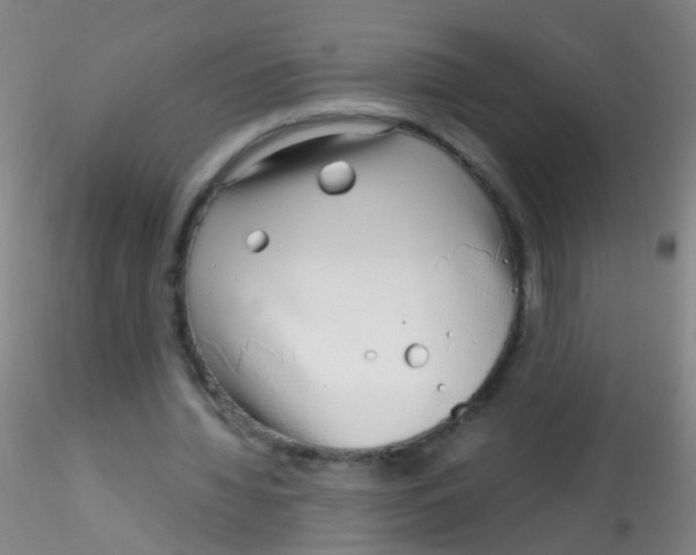 X0000115220436200911251534