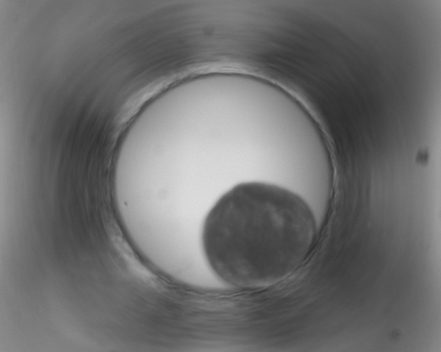 X0000115220437200911251534