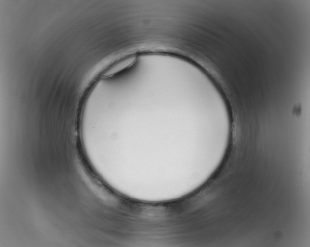 X0000115220438200911251534