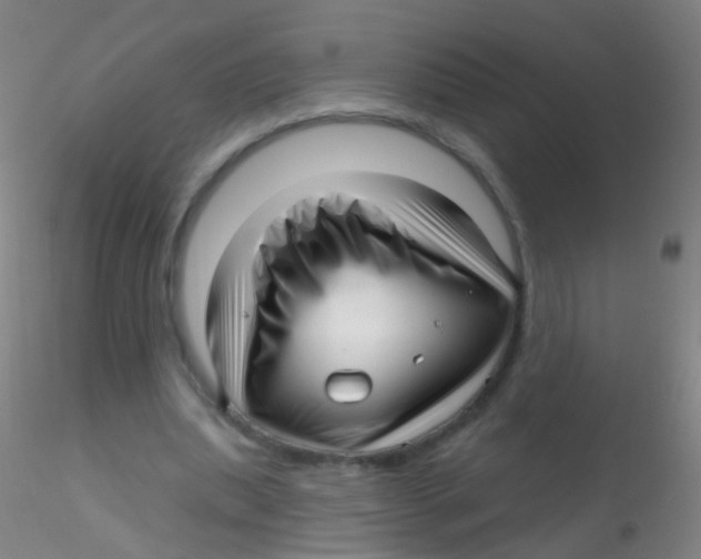 X0000115220439200911251534