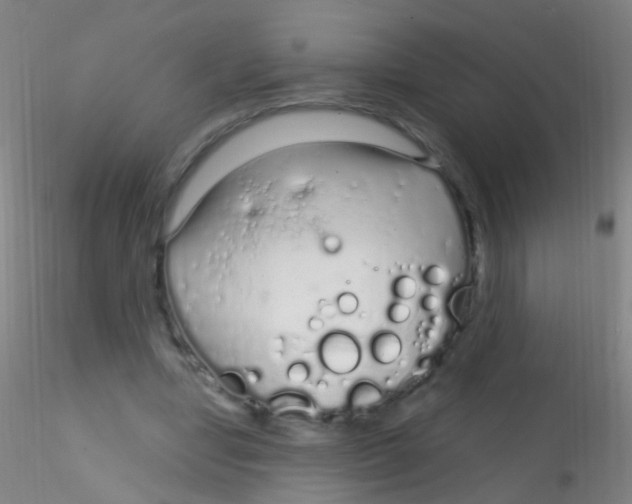 X0000115220442200911251534