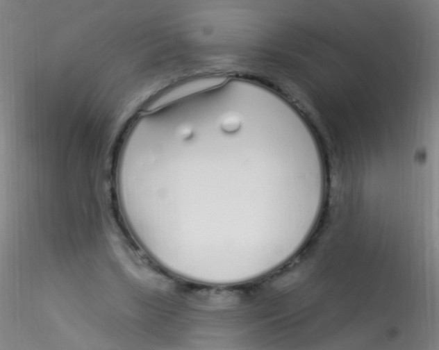 X0000115220443200911251534