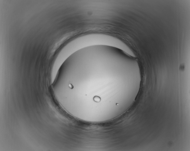 X0000115220444200911251534