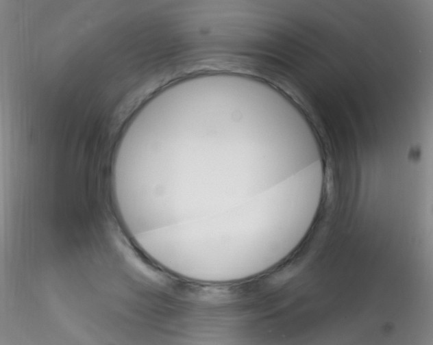 X0000115220445200911251534