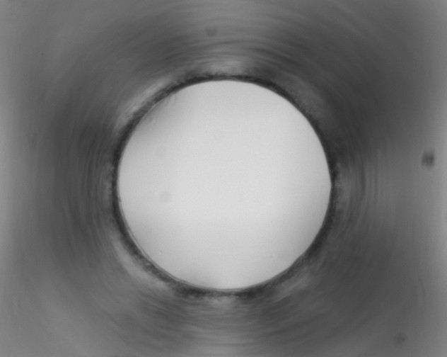 X0000115220446200911251534