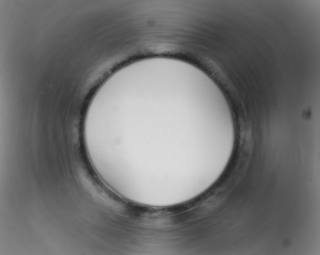 X0000115220447200911251534