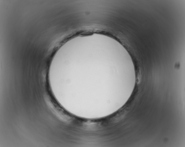 X0000115220448200911251534