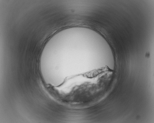 X0000115220449200911251534