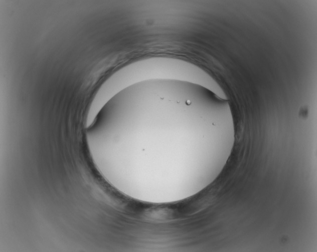 X0000115220452200911251534