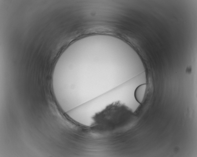 X0000115220453200911251534
