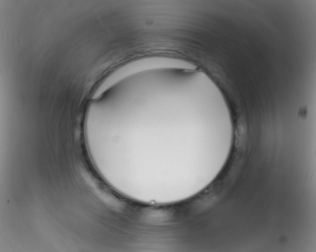 X0000115220454200911251534