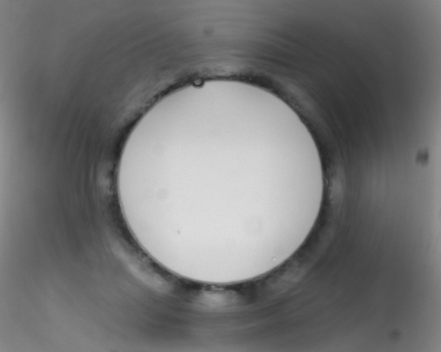 X0000115220455200911251534