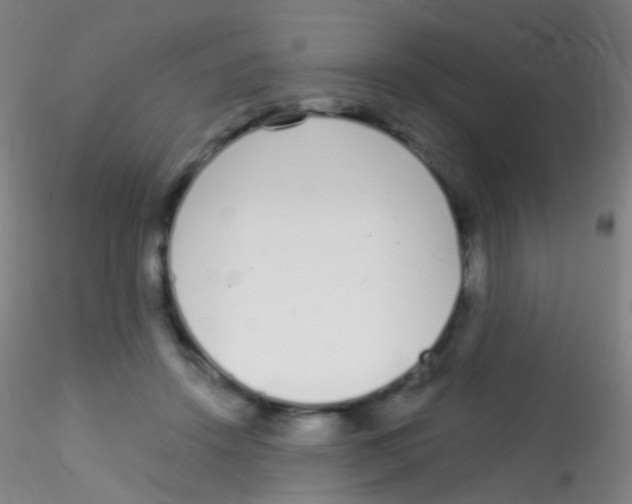 X0000115220456200911251534