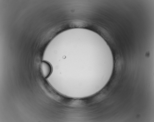 X0000115220459200911251535