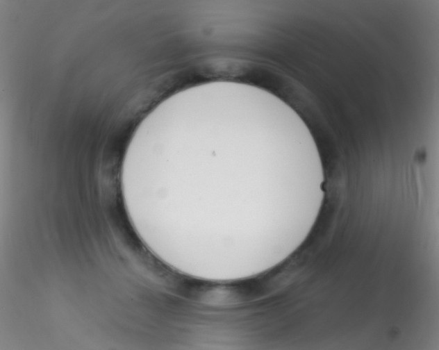 X0000115220460200911251535