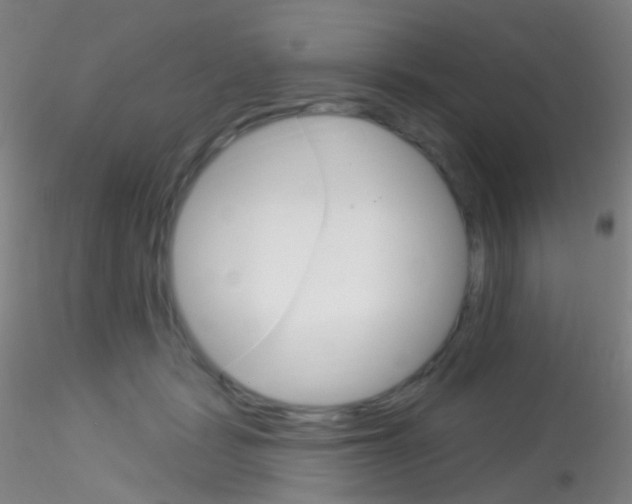 X0000115220461200911251535