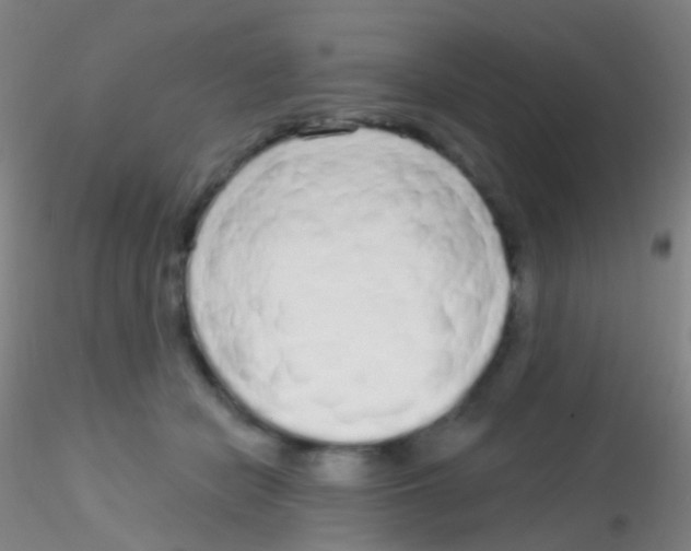 X0000115220462200911251535