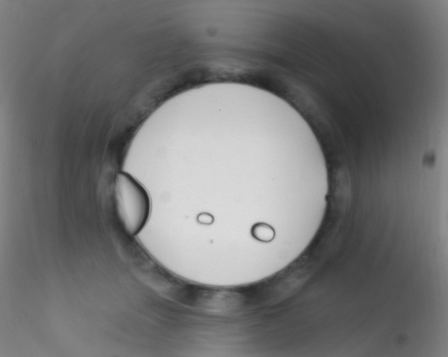 X0000115220463200911251535