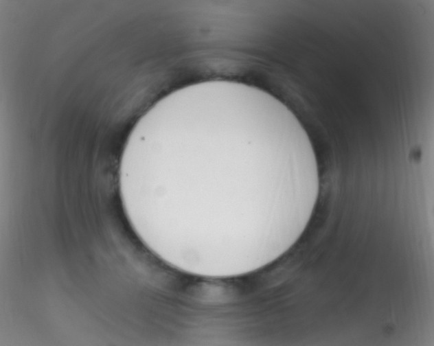 X0000115220464200911251535
