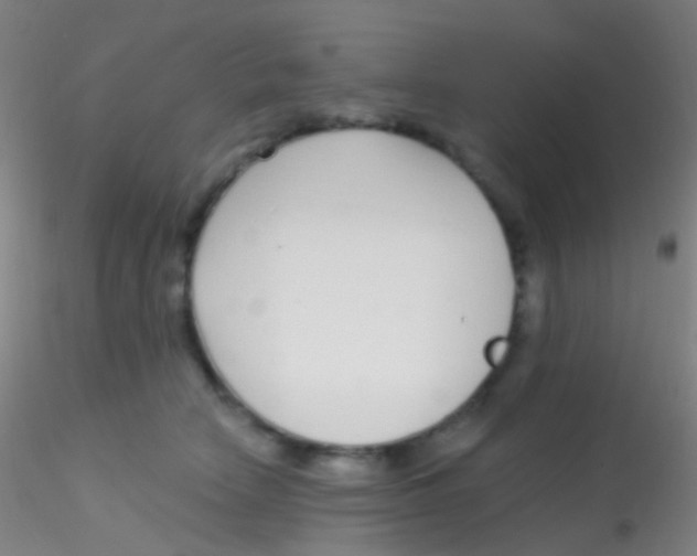 X0000115220466200911251535