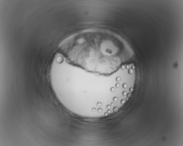 X0000115220469200911251535