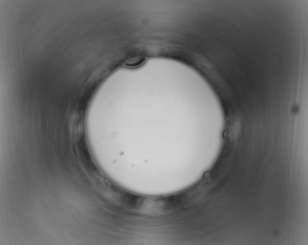 X0000115220471200911251535