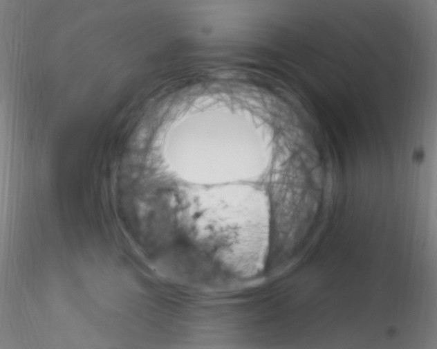 X0000115220473200911251535