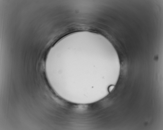 X0000115220474200911251535